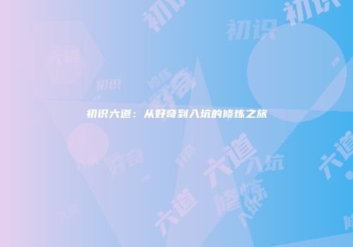 初识六道：从好奇到入坑的修炼之旅