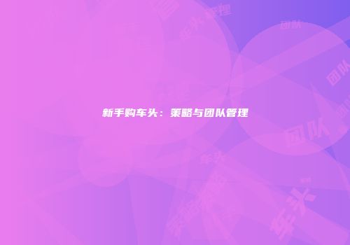新手购车头：策略与团队管理