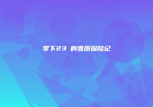 零下23℃的雪原探险记
