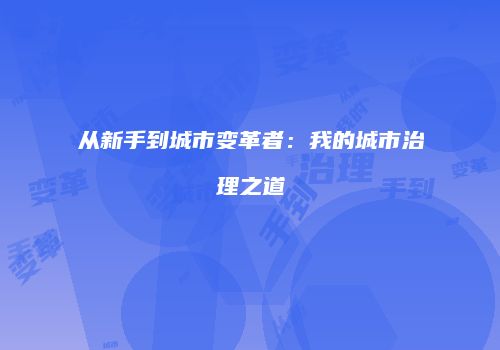 从新手到城市变革者：我的城市治理之道