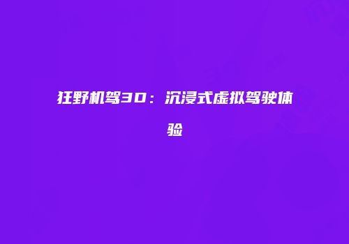 狂野机驾3D：沉浸式虚拟驾驶体验