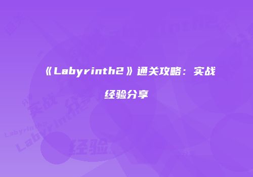 《Labyrinth2》通关攻略：实战经验分享