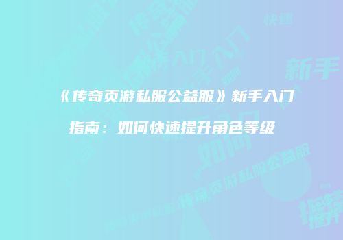 《传奇页游私服公益服》新手入门指南：如何快速提升角色等级