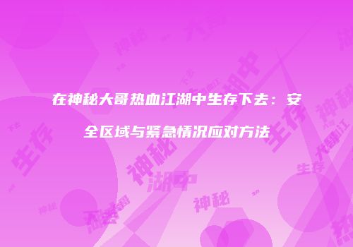 在神秘大哥热血江湖中生存下去：安全区域与紧急情况应对方法