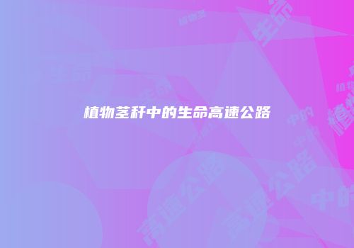 植物茎秆中的生命高速公路