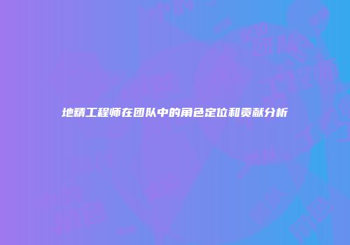 地精工程师在团队中的角色定位和贡献分析