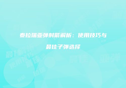 泰拉瑞亚弹射箭解析：使用技巧与最佳子弹选择