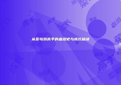 从菜鸟到高手的血泪史与成长秘诀