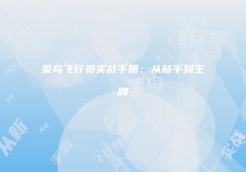 菜鸟飞行员实战手册：从新手到王牌