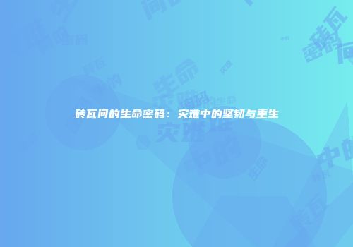 砖瓦间的生命密码：灾难中的坚韧与重生