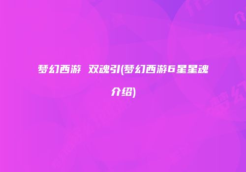 梦幻西游 双魂引(梦幻西游6星星魂介绍)