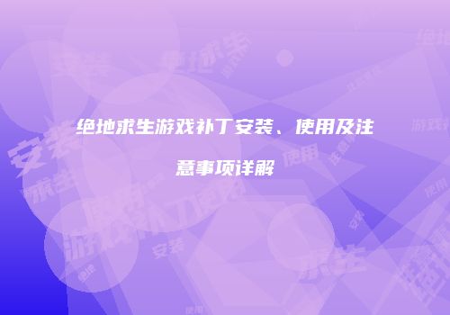 绝地求生游戏补丁安装、使用及注意事项详解