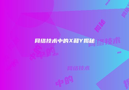 网络技术中的X和Y揭秘
