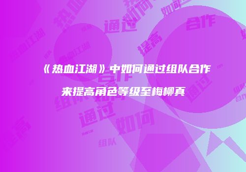 《热血江湖》中如何通过组队合作来提高角色等级至梅柳真