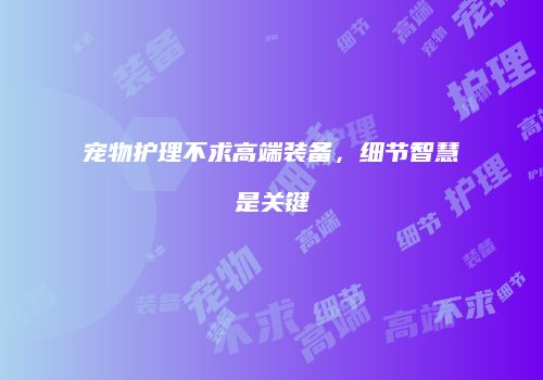 宠物护理不求高端装备，细节智慧是关键