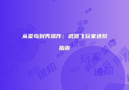 从菜鸟到秀操作：武器飞玩家进阶指南
