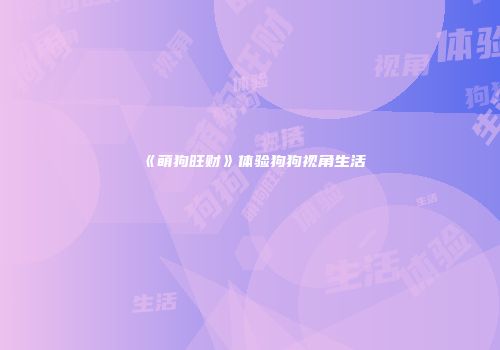 《萌狗旺财》体验狗狗视角生活