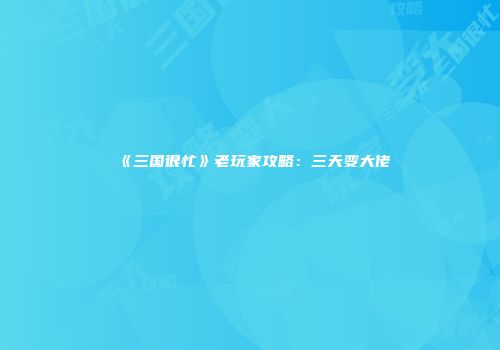 《三国很忙》老玩家攻略：三天变大佬