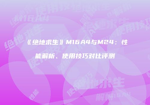 《绝地求生》M16A4与M24：性能解析、使用技巧对比评测