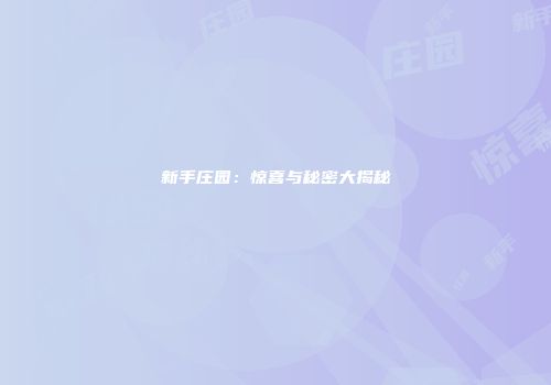 新手庄园：惊喜与秘密大揭秘