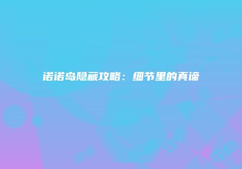 诺诺岛隐藏攻略：细节里的真谛