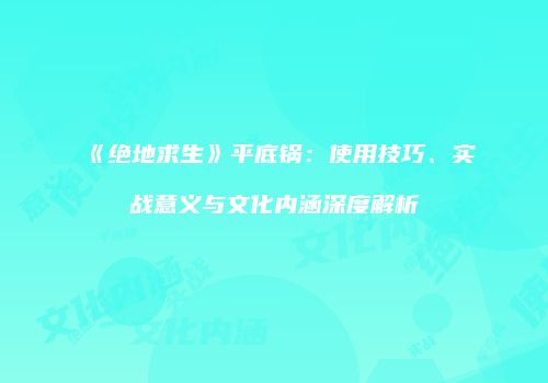《绝地求生》平底锅：使用技巧、实战意义与文化内涵深度解析