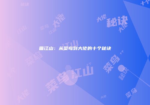 画江山：从菜鸟到大佬的十个秘诀