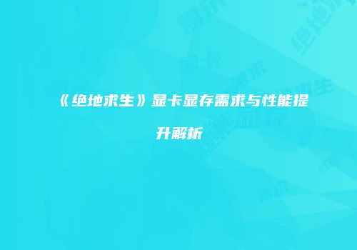 《绝地求生》显卡显存需求与性能提升解析