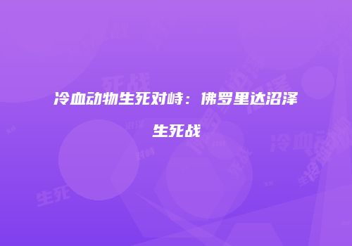 冷血动物生死对峙：佛罗里达沼泽生死战