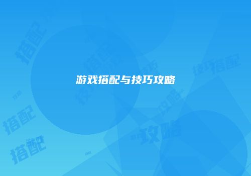 游戏搭配与技巧攻略