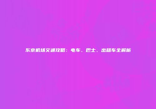 东京机场交通攻略：电车、巴士、出租车全解析