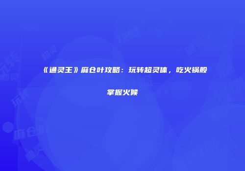 《通灵王》麻仓叶攻略：玩转超灵体，吃火锅般掌握火候