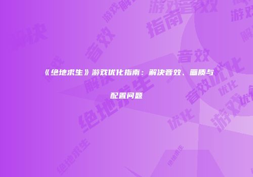 《绝地求生》游戏优化指南：解决音效、画质与配置问题