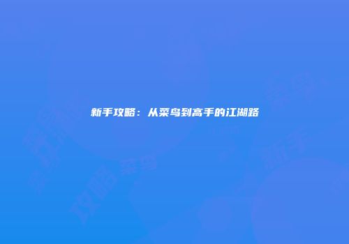 新手攻略：从菜鸟到高手的江湖路
