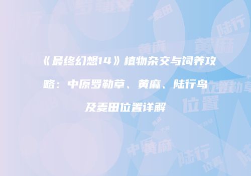 《最终幻想14》植物杂交与饲养攻略：中原罗勒草、黄麻、陆行鸟及麦田位置详解