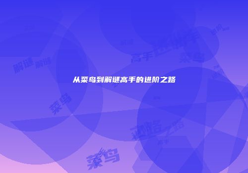 从菜鸟到解谜高手的进阶之路