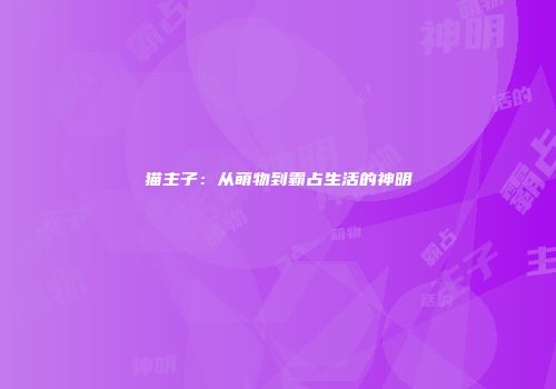 猫主子：从萌物到霸占生活的神明