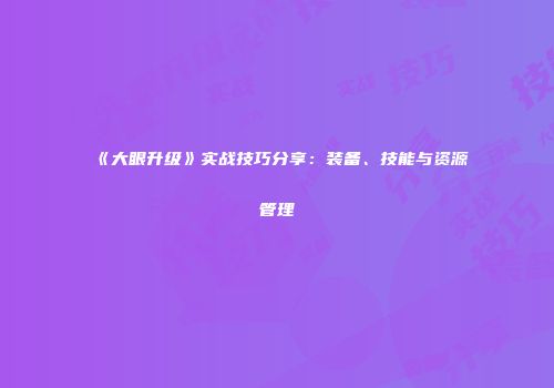 《大眼升级》实战技巧分享：装备、技能与资源管理