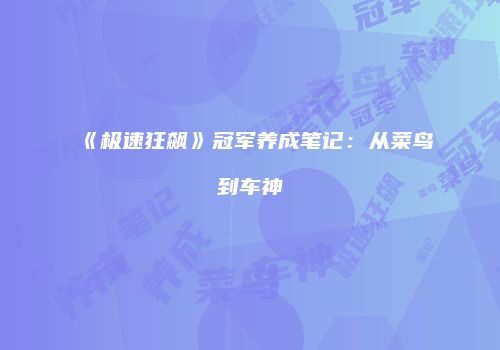 《极速狂飙》冠军养成笔记：从菜鸟到车神