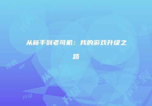 从新手到老司机：我的游戏升级之路