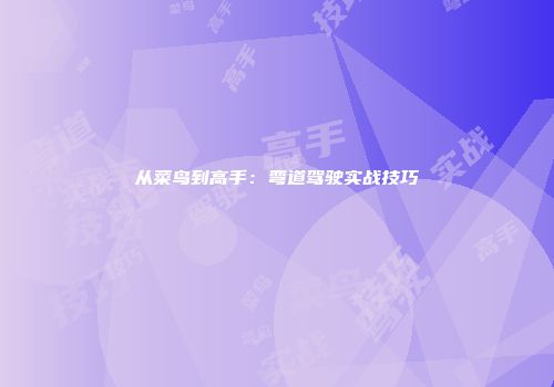 从菜鸟到高手：弯道驾驶实战技巧