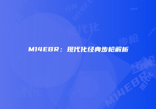 M14EBR：现代化经典步枪解析