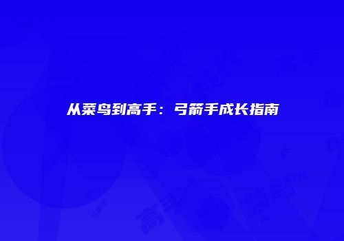 从菜鸟到高手：弓箭手成长指南