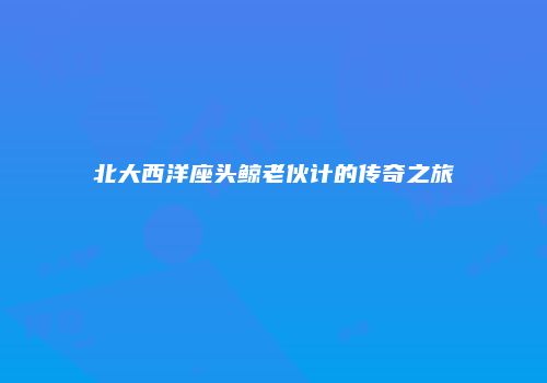 北大西洋座头鲸老伙计的传奇之旅
