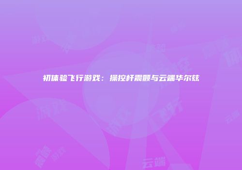 初体验飞行游戏：操控杆震颤与云端华尔兹