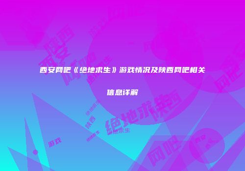 西安网吧《绝地求生》游戏情况及陕西网吧相关信息详解