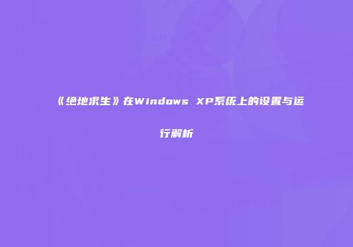《绝地求生》在Windows XP系统上的设置与运行解析
