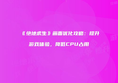 《绝地求生》画面优化攻略：提升游戏体验，降低CPU占用