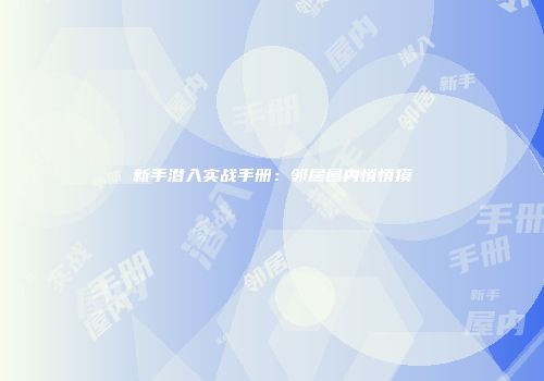 新手潜入实战手册：邻居屋内悄悄摸