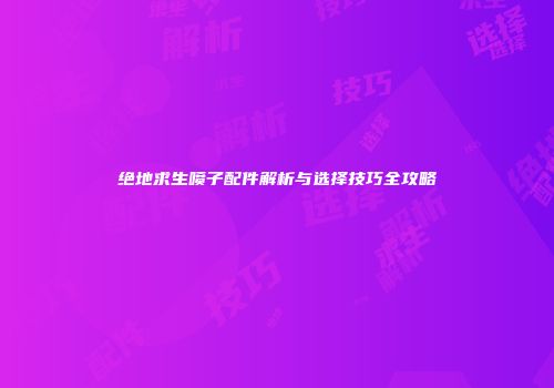 绝地求生喷子配件解析与选择技巧全攻略